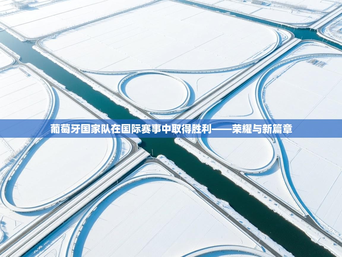 葡萄牙国家队在国际赛事中取得胜利——荣耀与新篇章 第2张