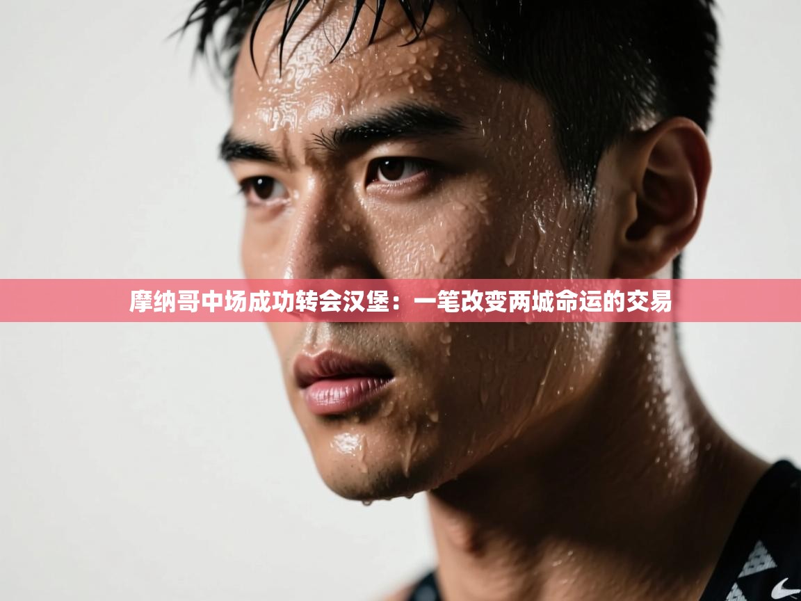 摩纳哥中场成功转会汉堡：一笔改变两城命运的交易  第1张