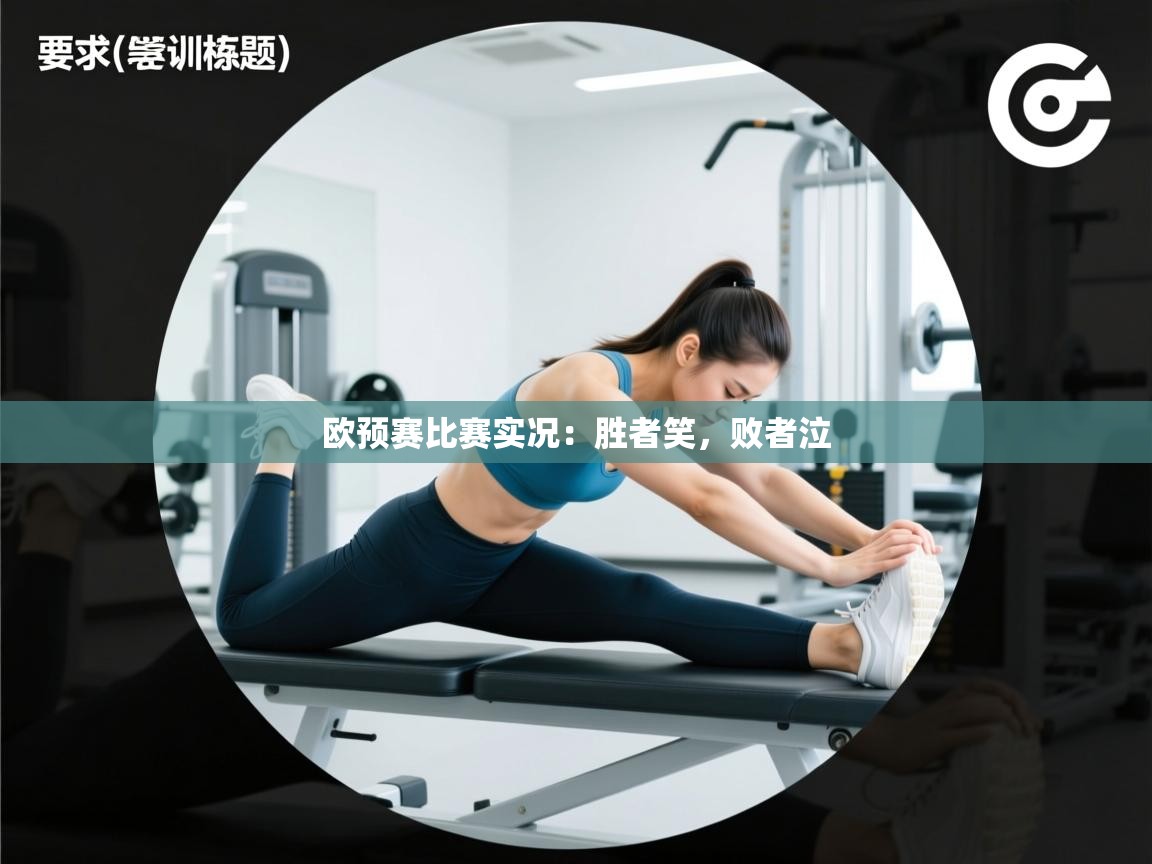 欧预赛比赛实况:胜者笑,败者泣
