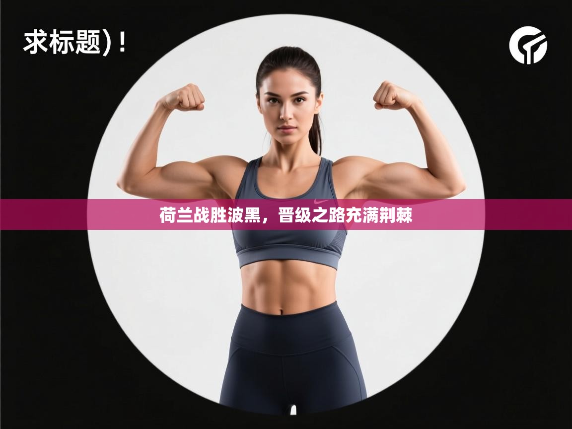 荷兰战胜波黑，晋级之路充满荆棘